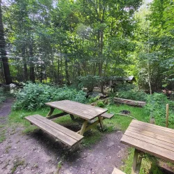 Folehaven Forest - Hørsholm