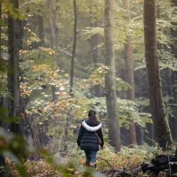 Folehaven Forest - Hørsholm