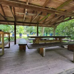 Folehaven Forest - Hørsholm