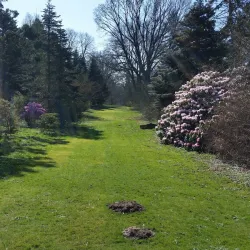 Hørsholm Arboretum - Hørsholm