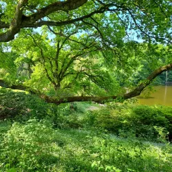 Hørsholm Arboretum - Hørsholm