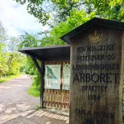 Hørsholm Arboretum - Hørsholm