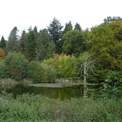 Hørsholm Arboretum - Hørsholm