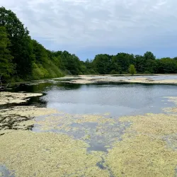 Hørsholm Arboretum - Hørsholm