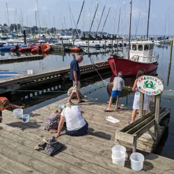 Rungsted Harbour - Hørsholm