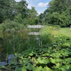 Rungstedlund Museum - Hørsholm