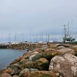 Vedbæk Marina - Hørsholm
