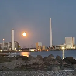 Gisseløre Beach - Kalundborg