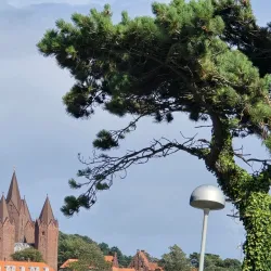 Gisseløre Beach - Kalundborg