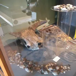 Kalundborg Museum - Kalundborg