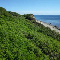 Røsnæs Peninsula - Kalundborg
