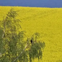 Røsnæs Peninsula - Kalundborg
