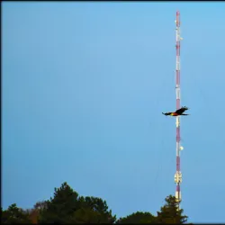 Røsnæs Peninsula - Kalundborg