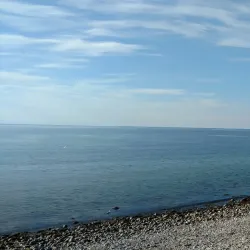 Saltbæk Vig Nature Reserve - Kalundborg