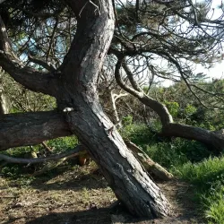 Saltbæk Vig Nature Reserve - Kalundborg