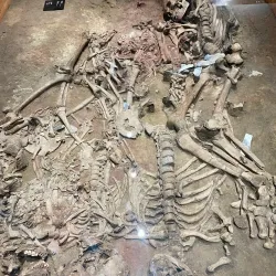 Køge Art Museum - Køge (Koege)