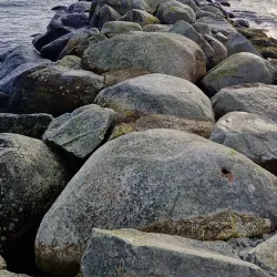 Køge Bugt Strandpark - Køge (Koege)