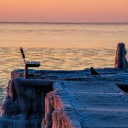 Køge Bugt Strandpark - Køge (Koege)
