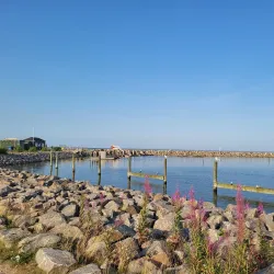 Køge Marina - Køge (Koege)