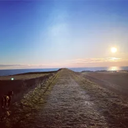 Køge Marina - Køge (Koege)