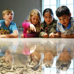 Køge Museum - Køge (Koege)