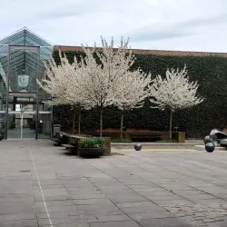 Køge Town Hall - Køge (Koege)
