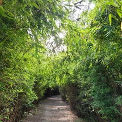 Geographical Garden (Den Geografiske Have) - Kolding