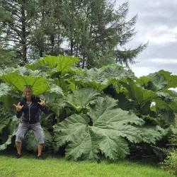 Geographical Garden (Den Geografiske Have) - Kolding