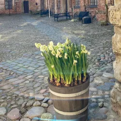 Kolding City Museum (Kolding Bymuseum) - Kolding