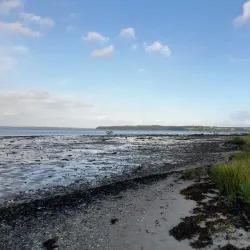 Kolding Fjord - Kolding