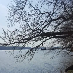 Kolding Fjord - Kolding