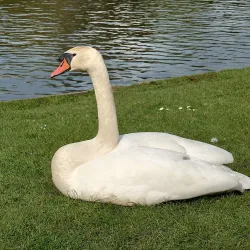 Legeparken - Kolding