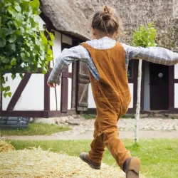 Frilandsmuseet (The Open Air Museum) - Kongens Lyngby