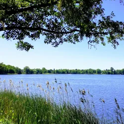 Lyngby Lake (Lyngby Sø) - Kongens Lyngby