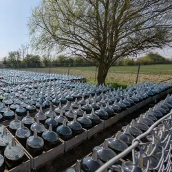 Frederiksdal Kirsebærvin - Lolland