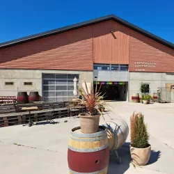 Frederiksdal Kirsebærvin - Lolland