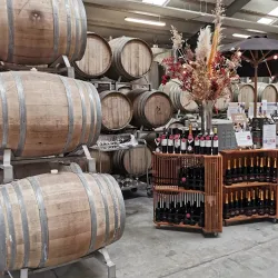 Frederiksdal Kirsebærvin - Lolland