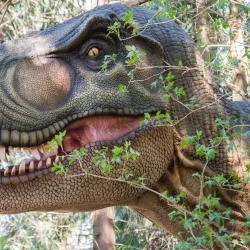 Knuthenborg Safaripark - Lolland