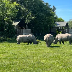 Knuthenborg Safaripark - Lolland