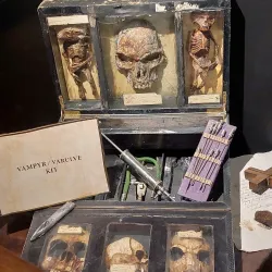 Lolland Falster Museum - Lolland