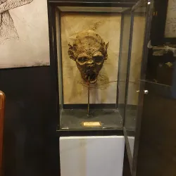 Lolland Falster Museum - Lolland