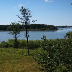 Maribo Lakes Nature Park - Lolland