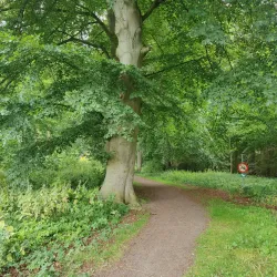 Maribo Lakes Nature Park - Lolland