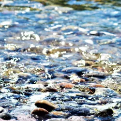 Rødbyhavn Beach - Lolland