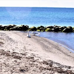 Rødbyhavn Beach - Lolland