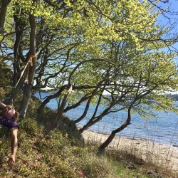 Fænø Island - Middlefart