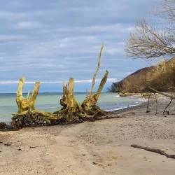 Røjle Klint - Middlefart