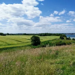 Røjle Klint - Middlefart