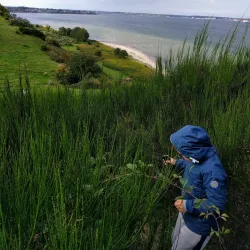 Røjle Klint - Middlefart