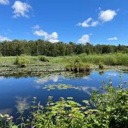 Falster Golf Club - Nykobing Falster